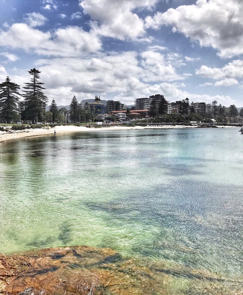 Scott Butler tweet media