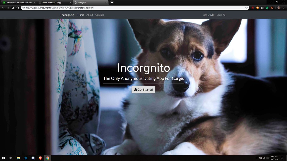 Ganrokh's tweet image. Day 11:
First 2 @freeCodeCamp projects done! I'm pretty sure this one is the dumbest thing I've ever made ever. I'm not sure if I should be proud or ashamed. Probably both.
Time tracking update: 11 days in, 25 hours into #learningprogramming!
#100DaysOfCode #webdev #corgi #corgis