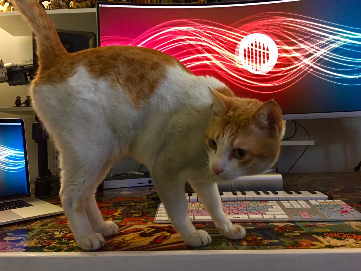 eyesoundonline's tweet image. Studio 2.0 is ALIVE! #soundyoucansee #protools12 #dualscreensbaby