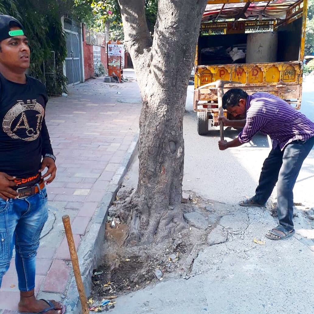 NDNS_HQ's tweet image. PWD de-chokes trees in NFC.
Writing to forest Dpt for months yielded no action, personally meeting the PWD team and explaining the court order which requires 1 mtr soil around trees finally got positive action to protect the existing trees.
#delhi #trees #india #chipkomovement