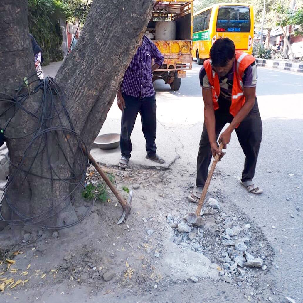 NDNS_HQ's tweet image. PWD de-chokes trees in NFC.
Writing to forest Dpt for months yielded no action, personally meeting the PWD team and explaining the court order which requires 1 mtr soil around trees finally got positive action to protect the existing trees.
#delhi #trees #india #chipkomovement