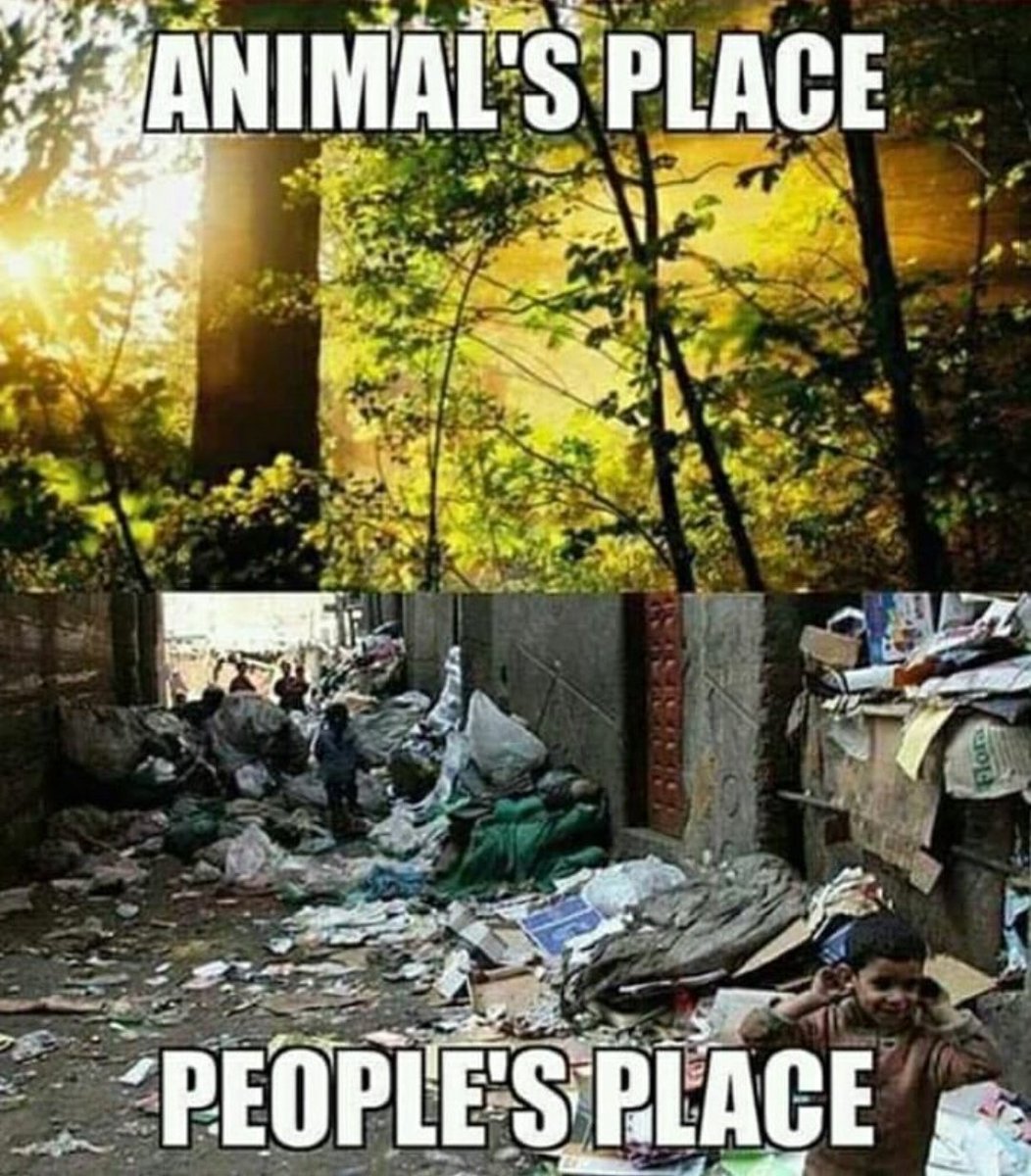 Amaid_Abbasi's tweet photo. For Delhi's people. Especially for my locality, during #MCD crisis.
#MCDStrike https://t.co/oJssygOPoe