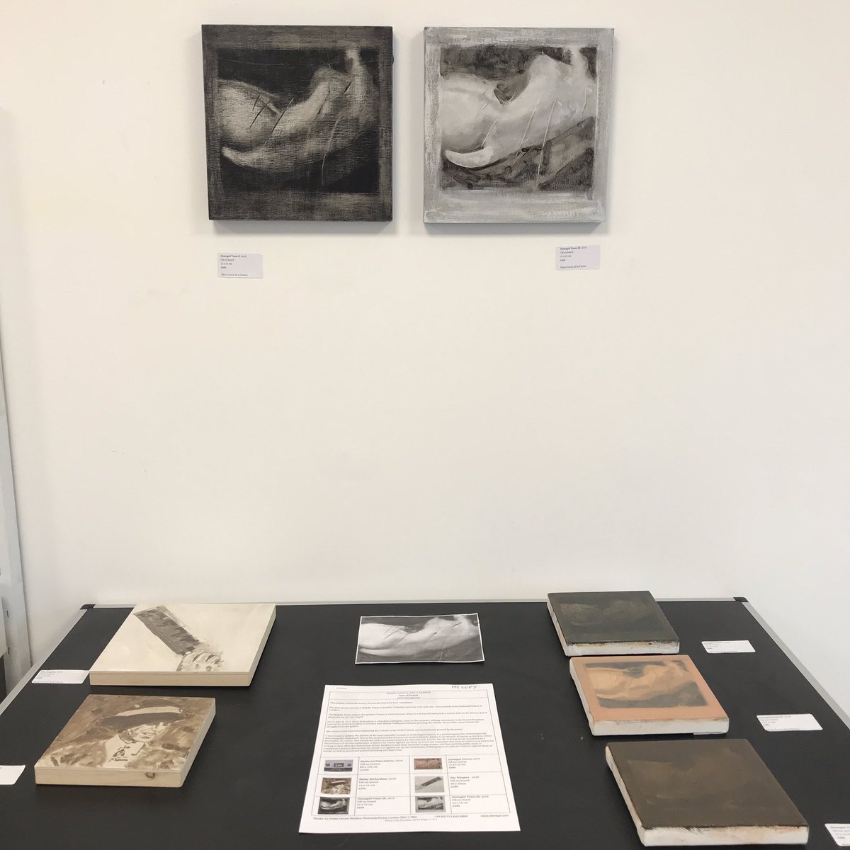 elenagf's tweet photo. ⚡️Opened this weekend ⚡️6-7 Oct from 11-6pm ⚡️35 artists⚡️open studio ⚡️ @DeltaHStudios 
Showing here is a series of new small experimental work from my ‘Sites of Protest’. These works explore the story of the attack on ‘Rokeby Venus’ painted by Velázquez. #WAOH2018 @elenagf https://t.co/7LGw1lcyM5