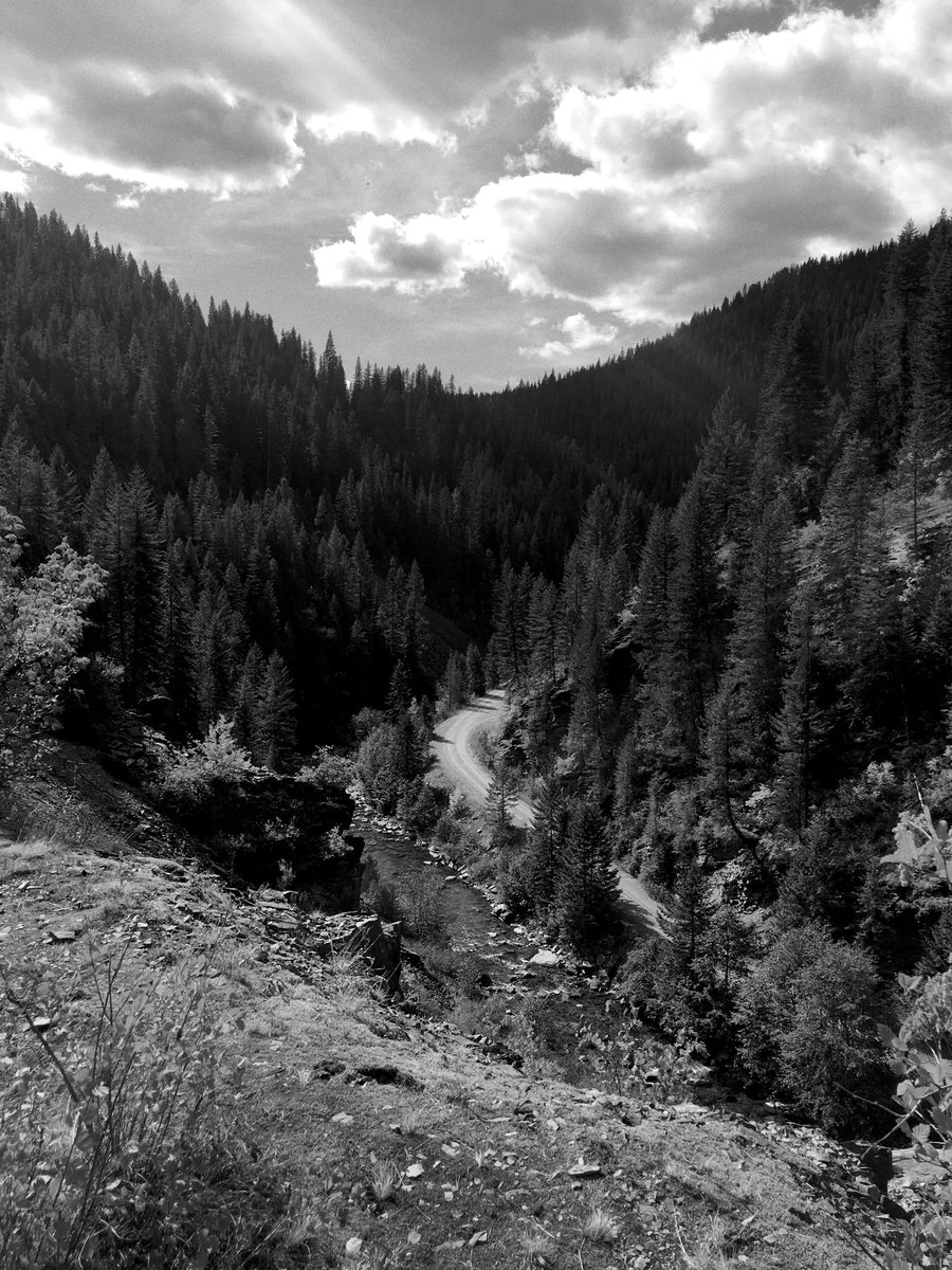 halm's tweet image. Dunno if I sent these to you? Last week in northern Idaho between Wallace and Avery. Share publicly if you like.