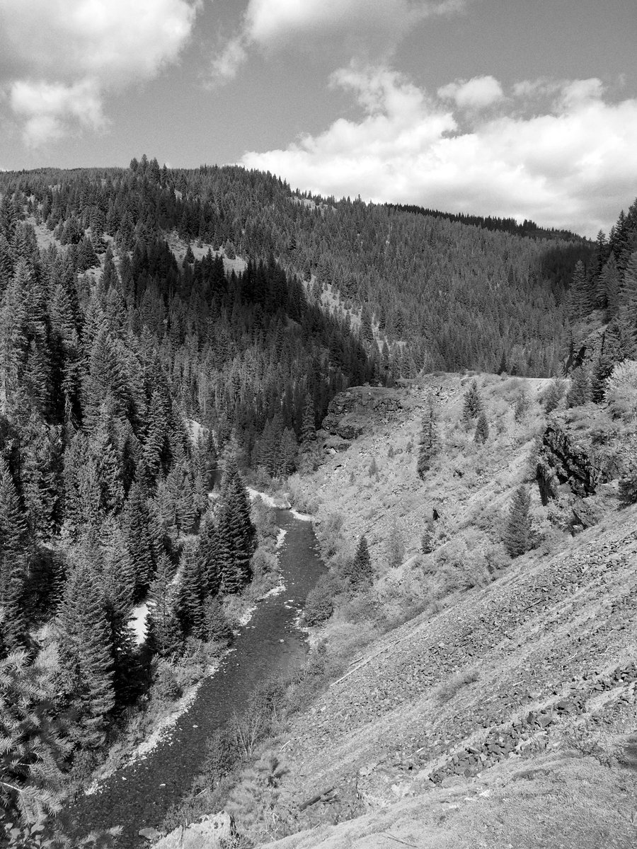 halm's tweet image. Dunno if I sent these to you? Last week in northern Idaho between Wallace and Avery. Share publicly if you like.