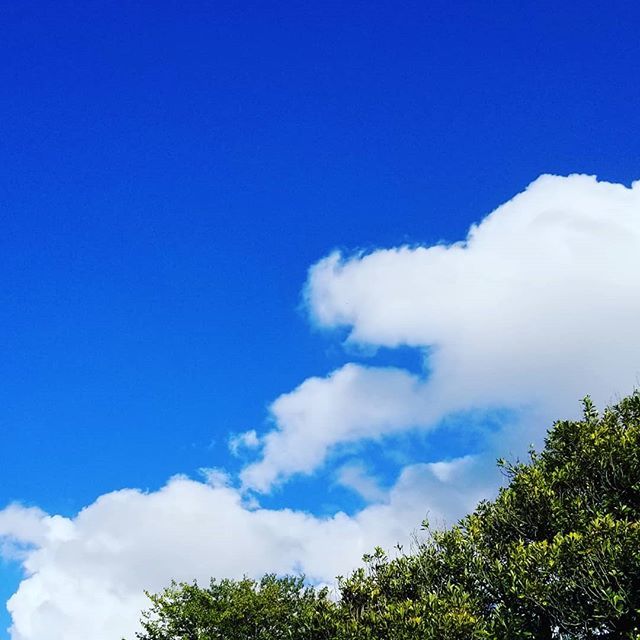 midoyot's tweet photo. 今日は暑い☀️😵💦 クリニックの帰りにパチリ📱
みんな同じ空の下にいるんだよね✨
足も腰も痛いなんて言ってられないぞ!
まだまだ頑張らなくちゃ❤️ #イマソラ #galaxyカメラ部 #galaxy8plus #空 #sky #하늘 #東京 #tokyo #도쿄 #秋 #autumn #가을 https://t.co/q6clKvCzH2 https://t.co/iMcSjwCTaW