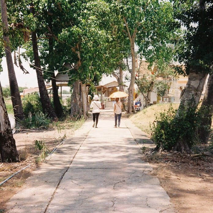 yellowsbellow's tweet photo. @TheAnness @biqueaboo 📷 Olympus 35DC
🎞 Kodak colorplus 200, Fuji superior x-tra 400

ส่วนตัวชอบรูปคุณตามากๆ ไม่รู้ทำไมทั้งม้วนแทบจะมีแต่รูปคนตาคนนี้แล้ว (ขออนุญาติคุณตามาเป็นนายแบบจำเป็นให้หนูหน่อย 🌝💛)

ขอฝากไอจีด้วยน้า 14thr.fav 👧🏻🌻 https://t.co/ZJOrRkQgGR