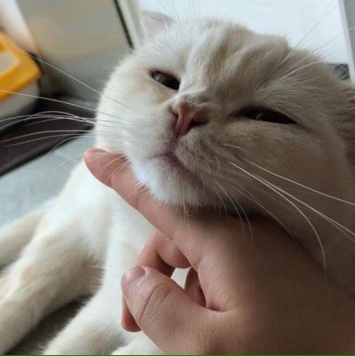 akikoyujinx's tweet photo. เชื่องเป็นลูกแมวเลยไอ่เด่ก @danielxduxx https://t.co/ejAqYWQ8oG