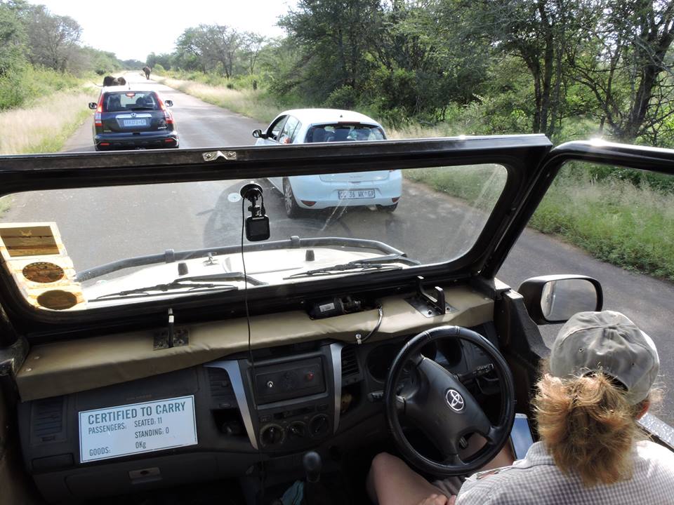 <a href="/nroutessa/">N-Routes South Africa</a> Its another awesome #Saturday in the #KrugerPark - Loving the time with the #Wildones