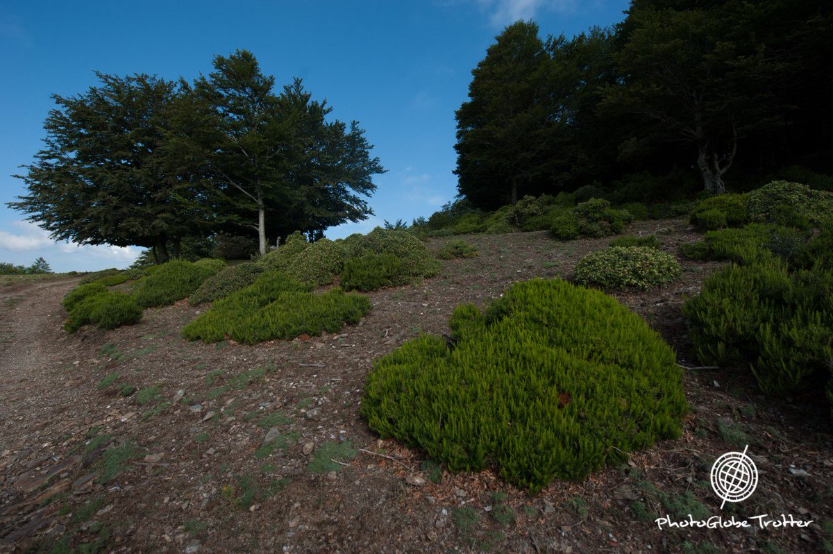 Non solo degrado..un angolo curato fra le montagne
#Buongiorno #6ottobre #foto #fotografia #photography #Calabria #Aspromonte #natura #nature #PhotoGlobeTrotter