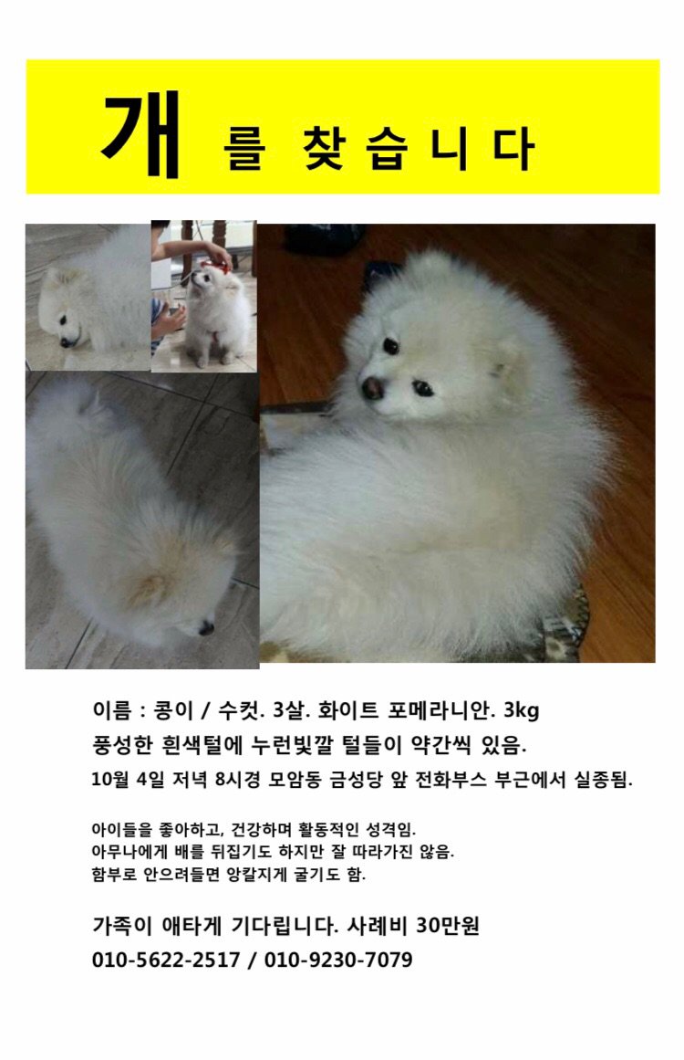 엄마가 키우는 개가 실종되었습니다. 잠깐 한눈 판 사이에 사라졌다 하는데 이틀밤이 지나도 돌아오지 않고 있네요. 경북 김천시 모암동에서 실종되었구요, 혹시 근처 사시는 분들 계시면 조금만 관심 가져주세요. 가족들이 애타게 찾고 있습니다. ㅠㅠ