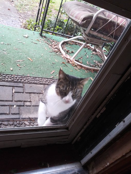 Peek-a-boo https://t.co/DJUx4HP3jL