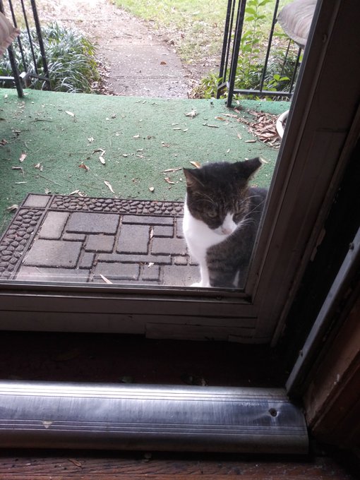 Peek-a-boo https://t.co/DJUx4HP3jL