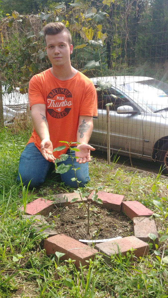 BlueWaterBmore's tweet photo. Thanks to Will Wisner-Carlson for sending us a photo with his new Serviceberry tree! Come to the Herring Run Nursery tomorrow 9am-12pm for your own free leafy friend, then take a selfie and post it with the hashtag #mynewtree and tag us: @BlueWaterBmore @TreeBaltimore https://t.co/u644eAmwcA