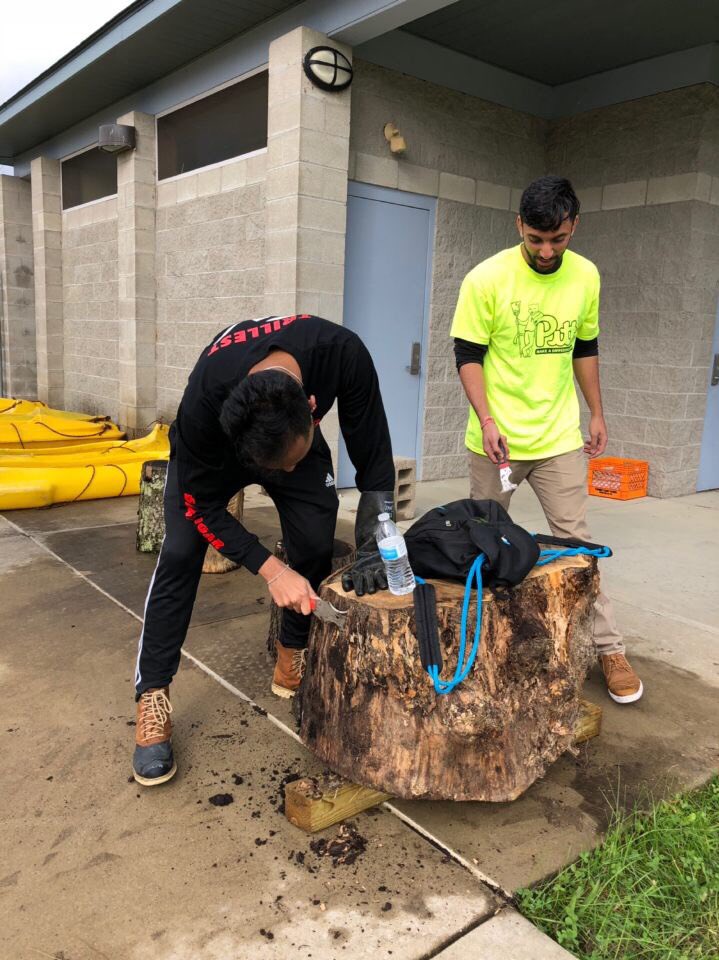 Pitt Fraternity and Sorority Life tweet media