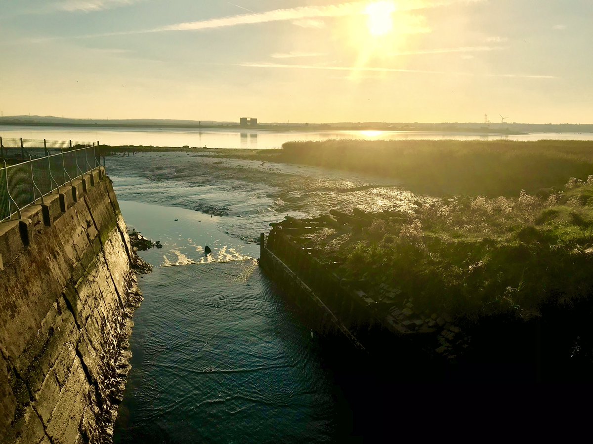 Tim Harrold tweet media