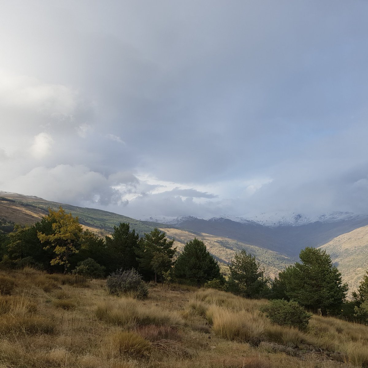 HPampaneira's tweet photo. Respira aire fresco y limpio. 😊😊 Encuéntrate en ti mismo en un escenario como éste #Pampaneira #Granada #Alpujarra #Otoño #Campo #naturaleza https://t.co/DLjNK0UKug
