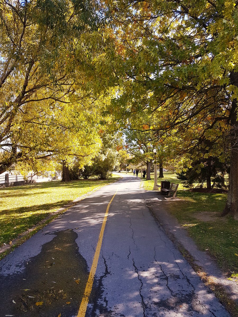 Perfect day to train for next weekend #RattleMeBones #RunForACause #CancerResearch