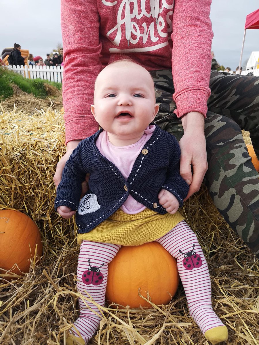 trisha460's tweet photo. Someone enjoyed her pumpkin patch today. #Caityn #Pumpins #Familydays https://t.co/EQbyPmWYTB