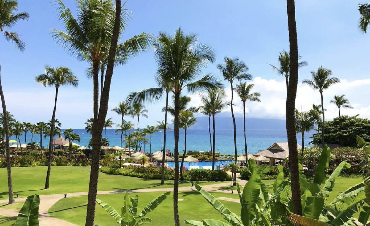3 nights in Maui - bid bid bid for it here brojure.com/site-foundatio…