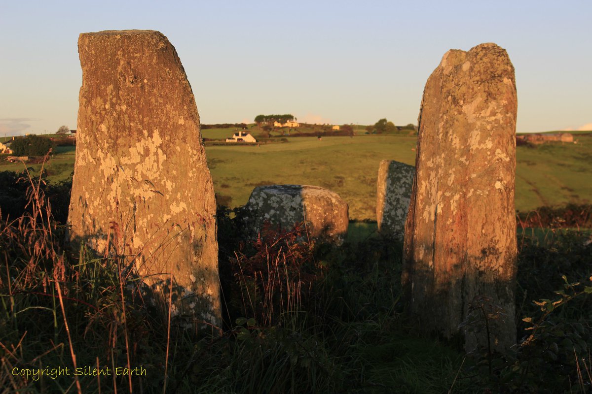 Equinox Sunrise at Bohonagh Stone Circle Co. Cork Ireland 

silentearth.org/equinox-sunris…