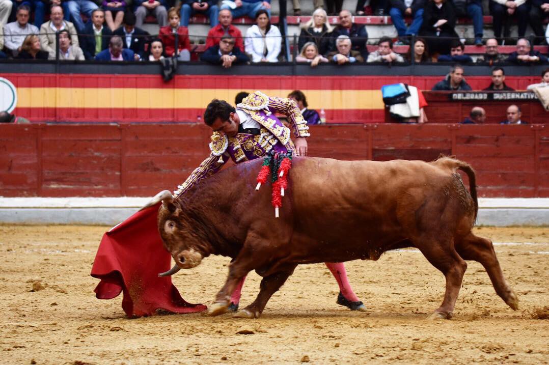 prensaElFandi's tweet photo. Jaén.- Faena de entrega y capacidad de @dfelfandi con un toro de evidentes dificultades. 

#ElFandi2018 https://t.co/XpVDmi2MGn