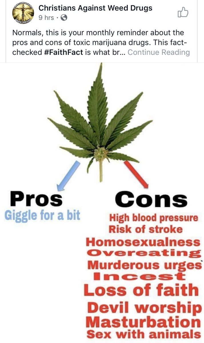 mark_mackillop's tweet photo. I smoked weed once in high school... 

👀🦄🦄🦄🦄🦄🦄🦄🦄🦄🦄🦄🦄🦄🦄🦄🦄🦄🦄
#homosexualness 

*giggle https://t.co/J4JmHQlJ7J