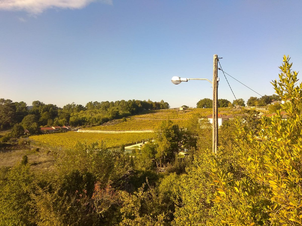 Outono en Moldes.

#MoldesBoborás #Boborás #Outono #Ribeiro