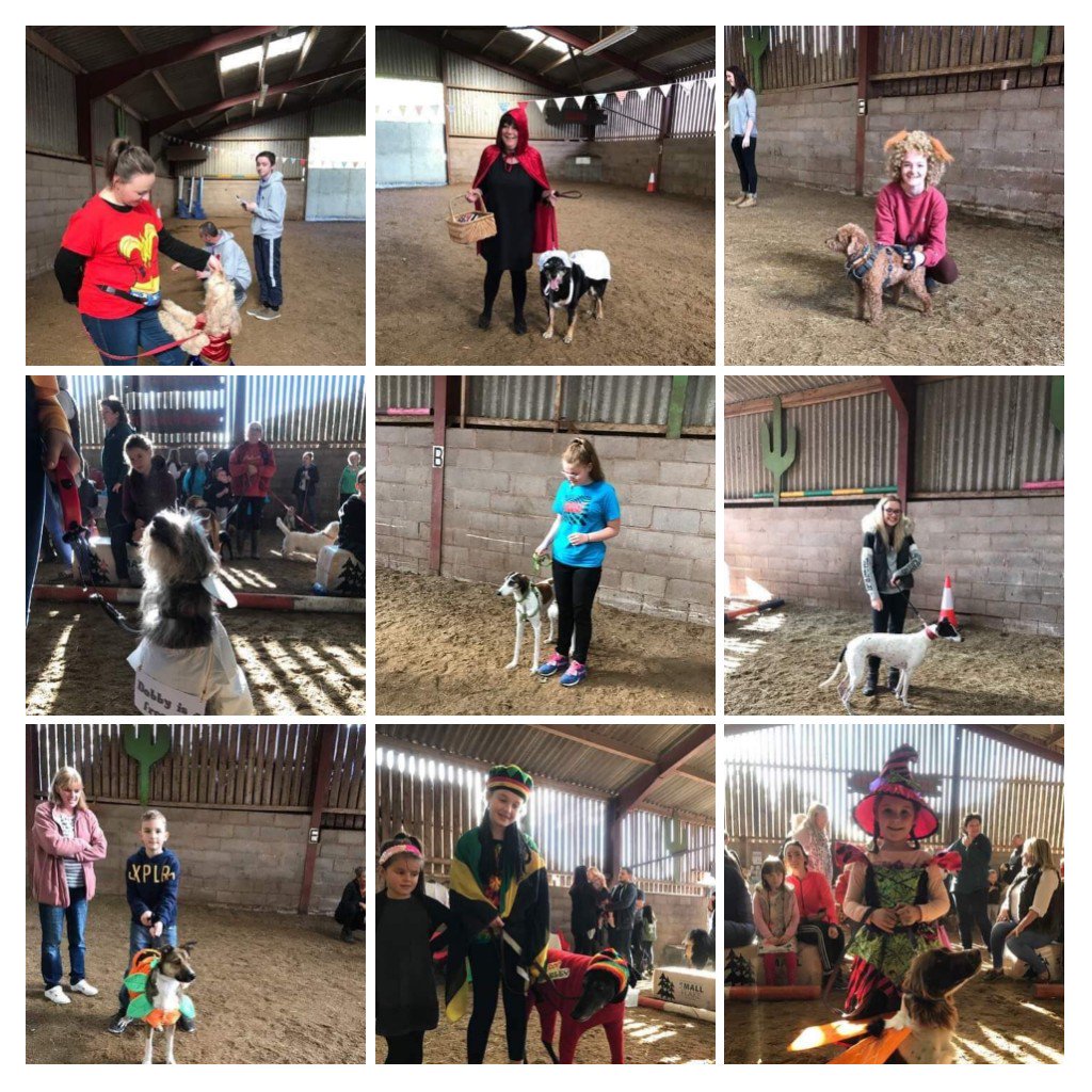 Amazing day #FunDogShow £601.65 raised!
Thanks to
✴️Liz S. for organising the show
✴️Tyldesley Charitable Trust for their kind donation of £150✴️Jane & Olwen for use of indoor horse arena 
PLUS everyone who helped today not forgetting all the lovely dogs and their owners too