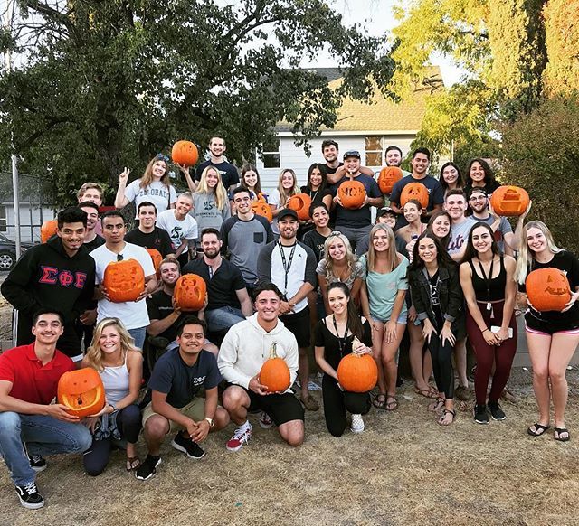 Sigepsacstate's tweet photo. This is honestly some of the best pumpkin carving we’ve ever seen. Apparently ΓΦΒ &amp; ΣΦΕ are a good mix- so we did just that! 
Thanks for getting into the spooky with us 🎃
#GenoForMOM #GenoForDad 
#mymomisdad #NewCalTheta #SigEp #gphi https://t.co/8eJZGkKiQx