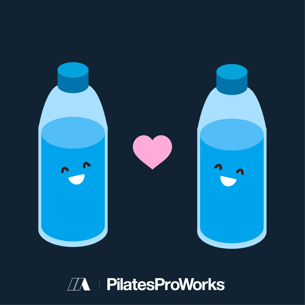 Pilates ProWorks® tweet media