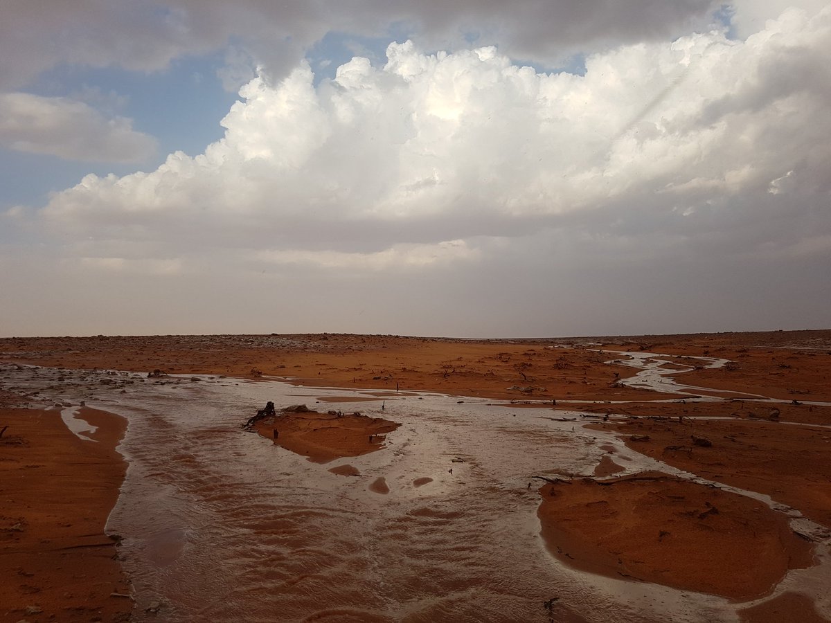 CcCCgt's tweet photo. سيل طيب على الفياض جنوب شرق القاعية 
يوم السبت ١١صفر  ١٤٤٠ https://t.co/g4XNjeLhi6