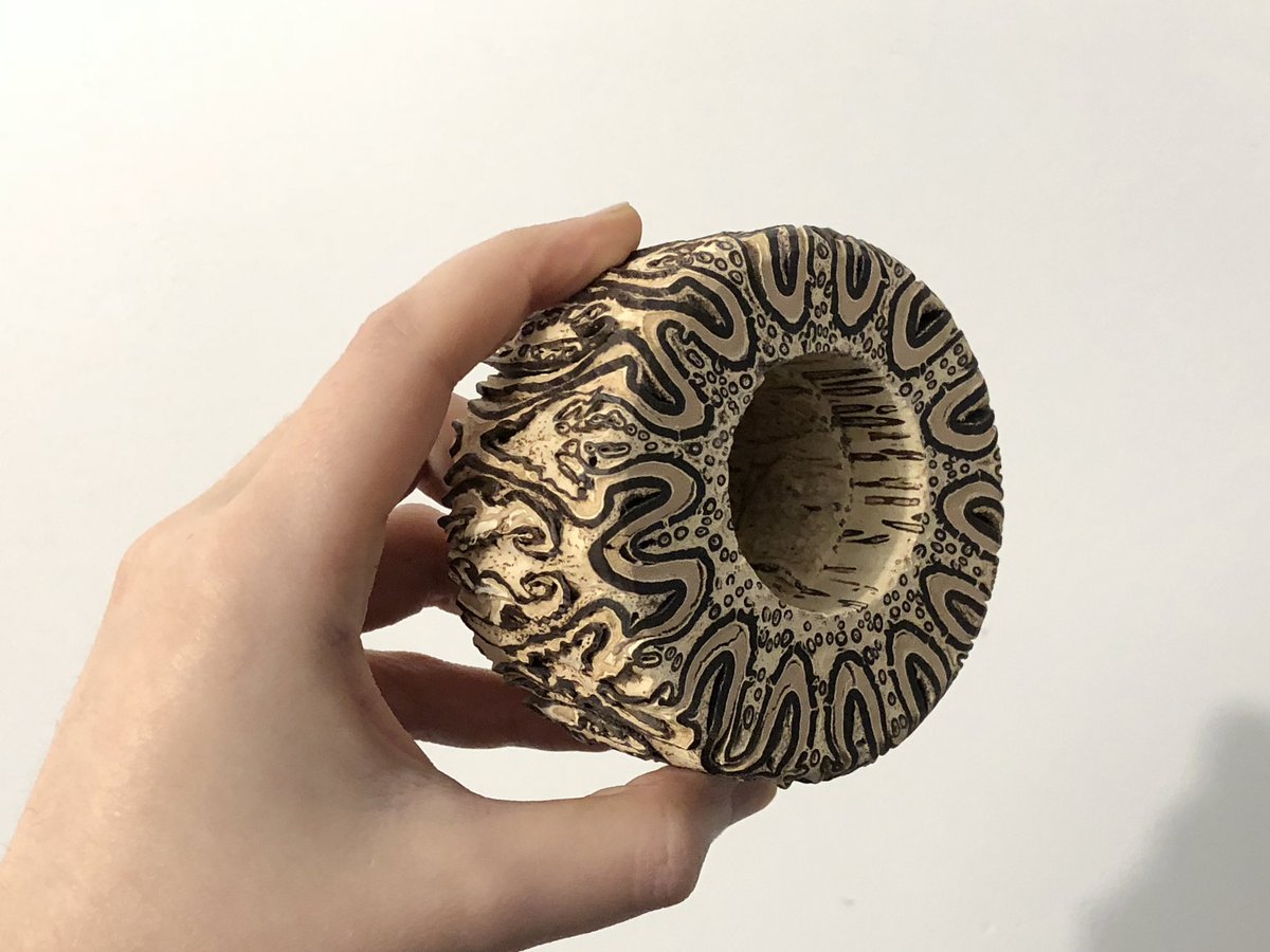 nervous_jessica's tweet image. The trunk of a tree fern is actually a compressed bundle of roots. It provides support for the fern to grow up to 65 feet high!