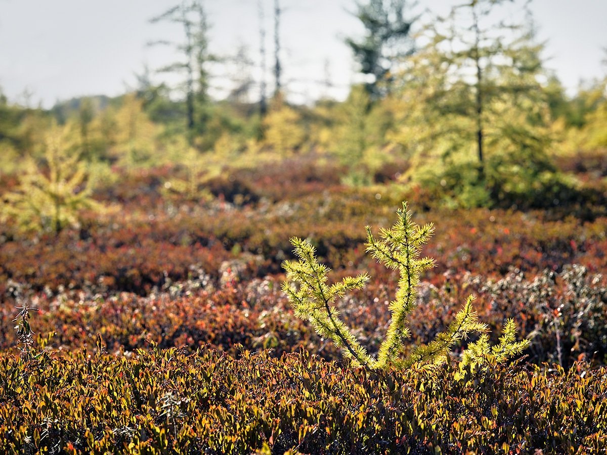 Mark Schacter tweet media