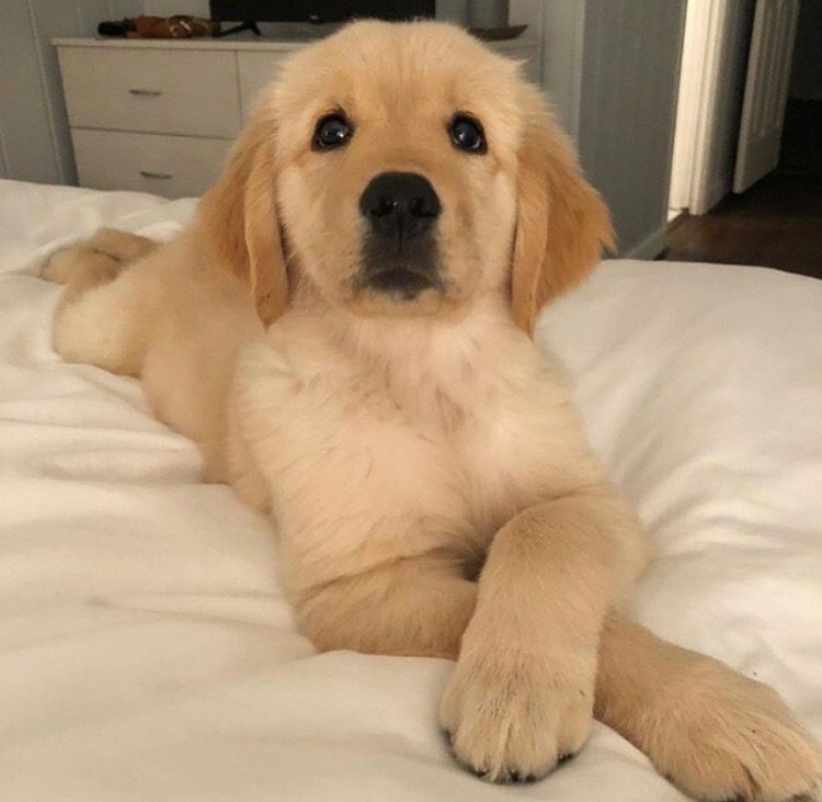 calmateforra's tweet photo. aaaay no puede ser mas tierno https://t.co/ryrbgZg0T5