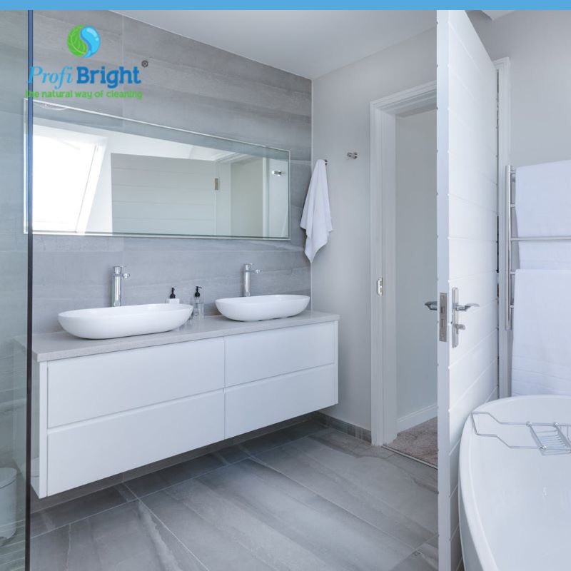 ProfiSanitair verwijdert huidvet, aanslag, kalk en zeepresten 👍. ProfiSanitair is ook nog eens een veilig en een mild alkalisch reinigingsmiddel.  bit.ly/2CtLoUH