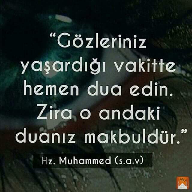 Gunay Koparan (@gunaykoparan) on Twitter photo 