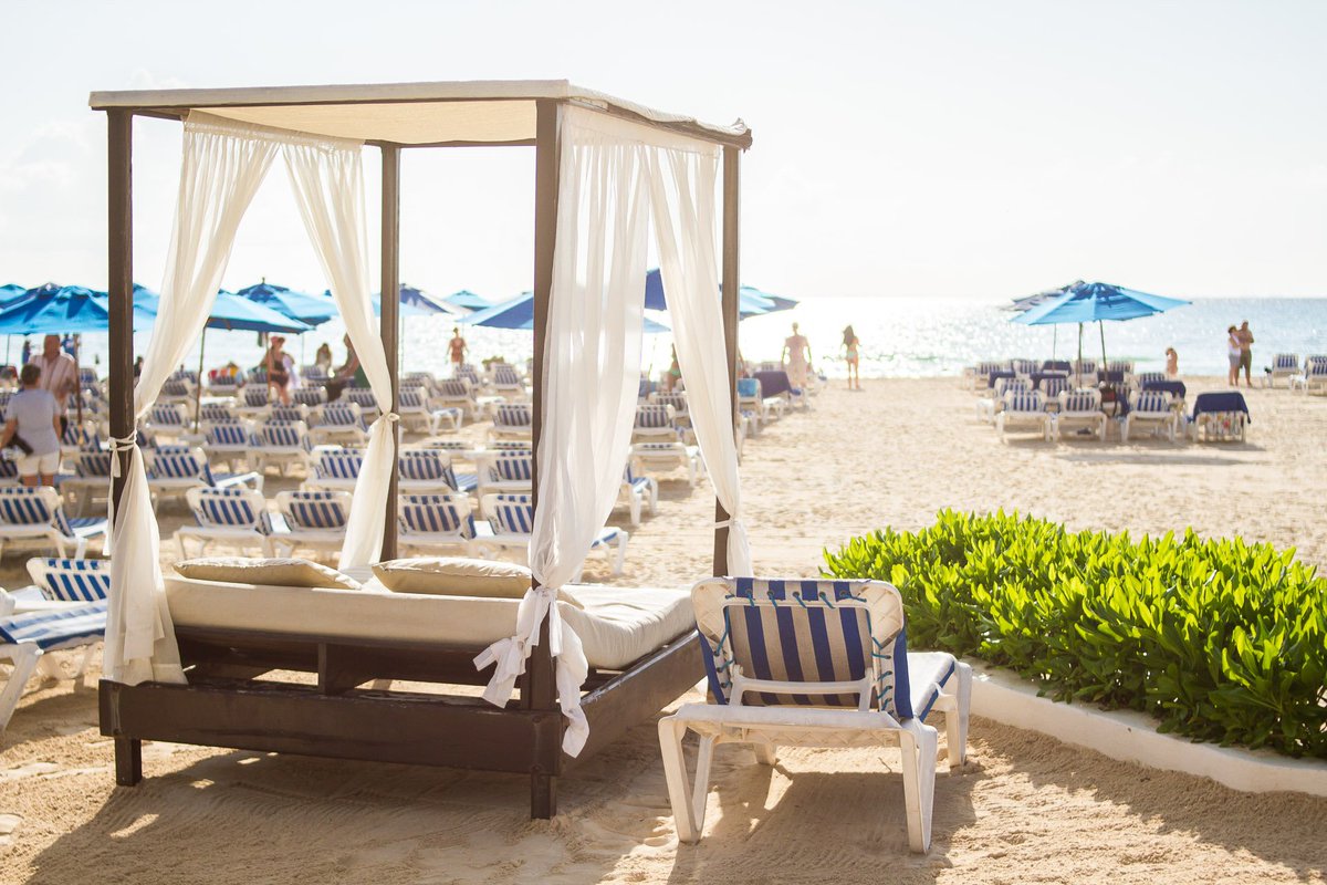 The Reef Playacar tweet media