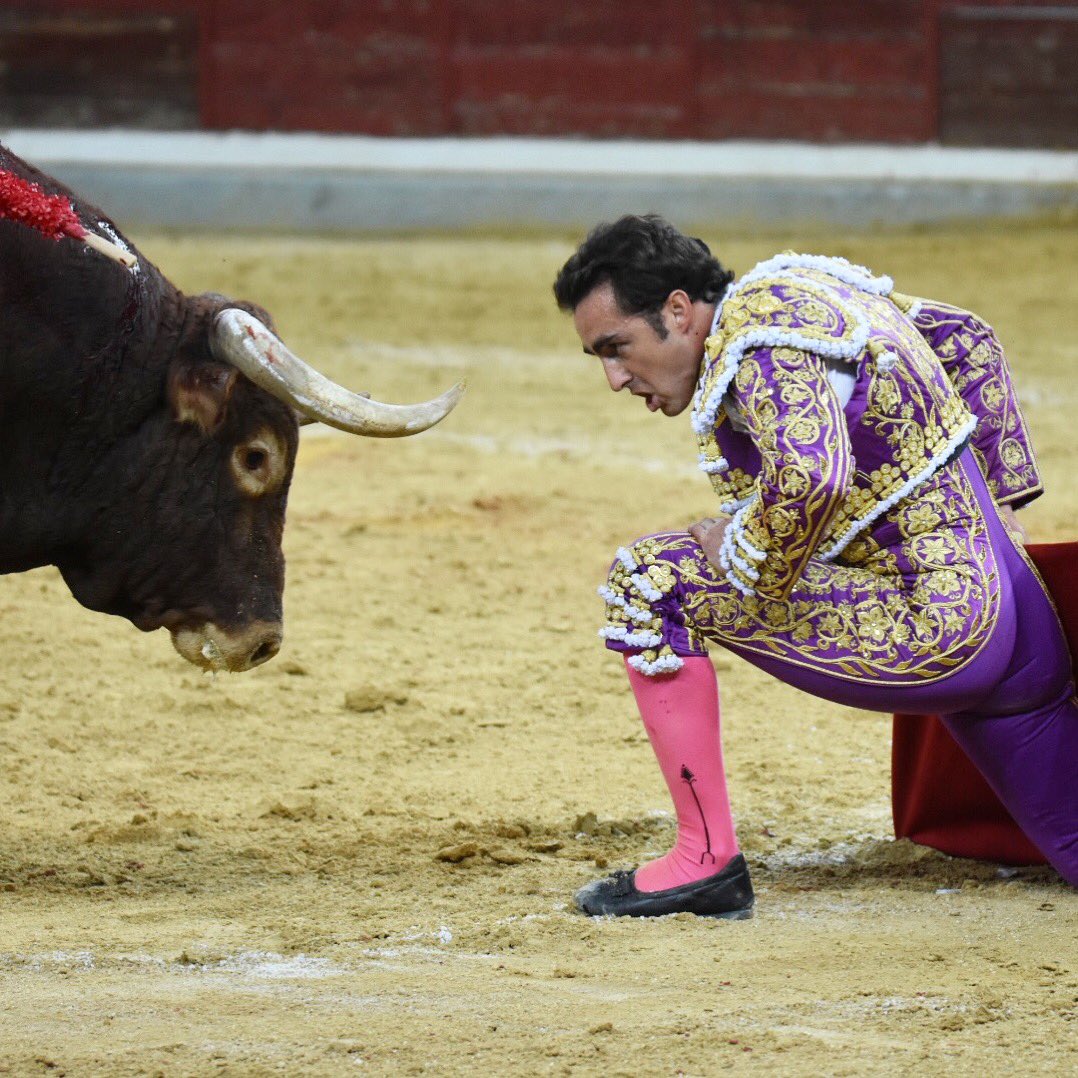 prensaElFandi's tweet photo. Jaén.- Palmas para @dfelfandi en el sexto. Un toro de nulas opciones con el que nada pudo hacer además de mostrar su disposición. 
#ElFandi2018 https://t.co/btFwem3h9W