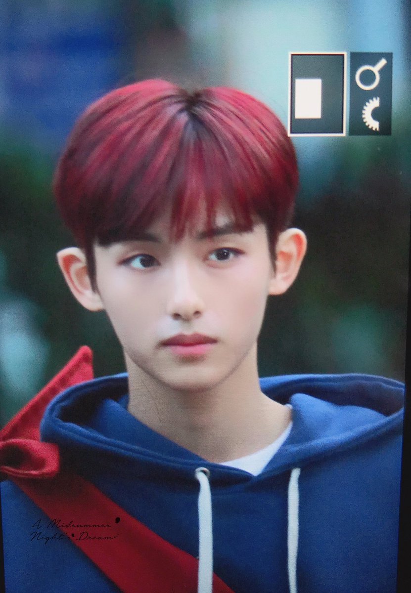 Winwin S Elf Ears Dailywinwinears Twitter