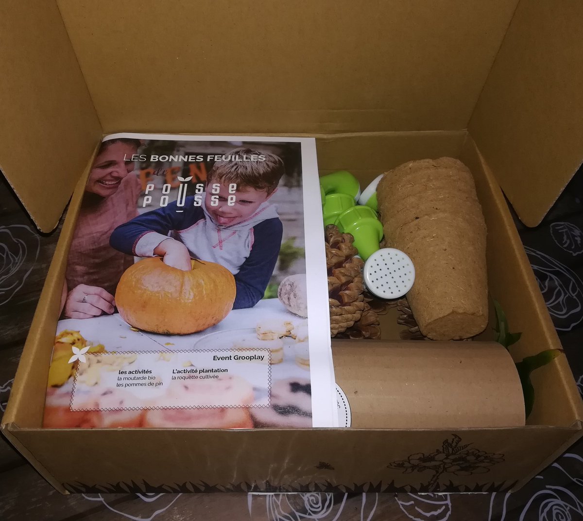 y3rdu4's tweet photo. Visuel rapide de ma Box Grooplay @PoussePousseoff 😍 #verygoodpousse https://t.co/akdmpHMrwJ