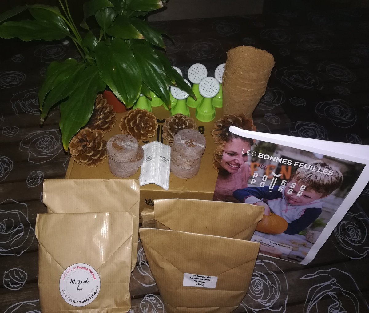 y3rdu4's tweet photo. Et voici un visuel plus complet de ma Box Grooplay @PoussePousseoff 😍 😍 😍 😍 🌱🌱🌱🌱🌱 #verygoodpousse https://t.co/rdMeY2In29