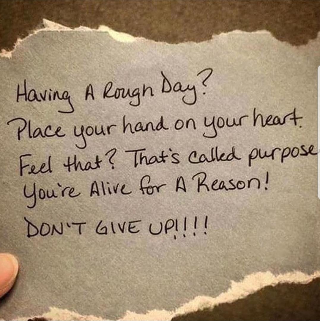 ITinahalfshell's tweet photo. Keep your head up! You're not done yet!#MotivationalQuotes #pushlimits https://t.co/W7jTtyUmdZ