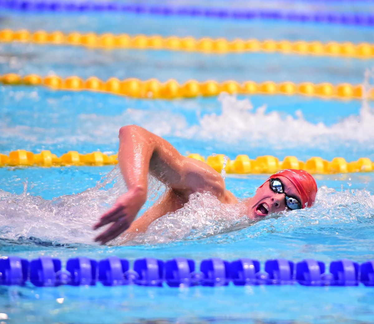 stephen milne tweet media