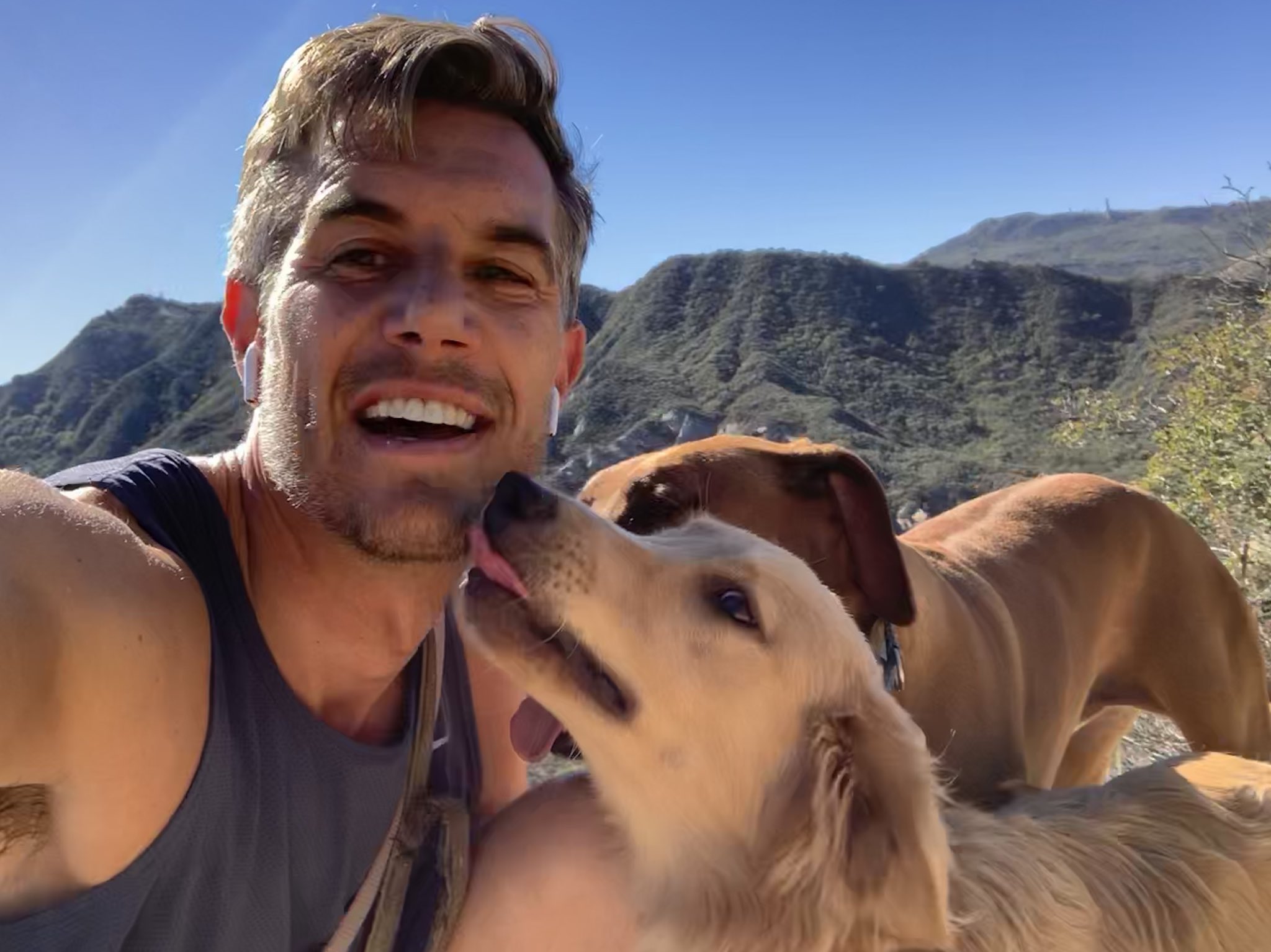 Dp-Wk8EVYAAmVTC.jpg:large