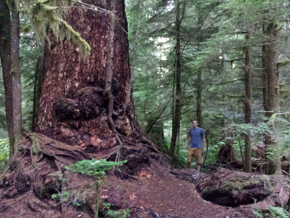 Whatcom County secret spot.