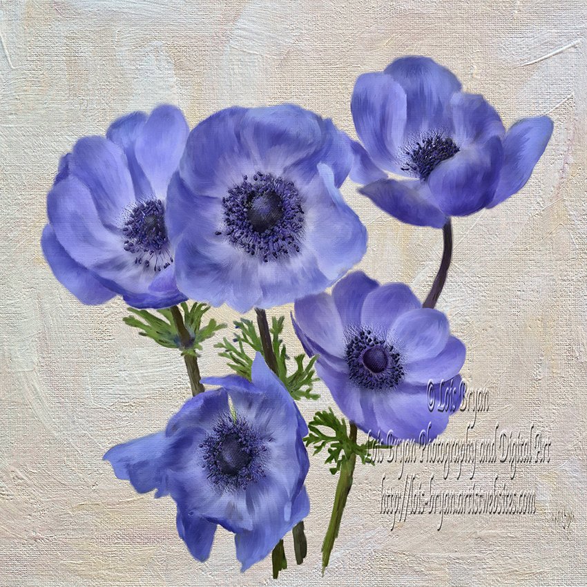 My most recent is 'Pretty Periwinkle #Poppies' ... and, as always, is available as #wallart and fun #giftideas (#giftgivingseason is fast approaching!) For a better look, come visit at my website, here:  lois-bryan.pixels.com/featured/prett… #flowers #spring @FineArtAmerica