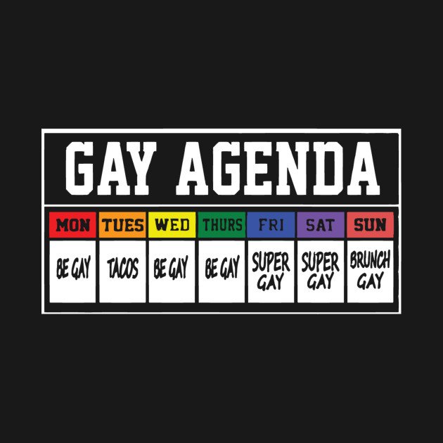 Gay agenda lady's tank illuminated brew works