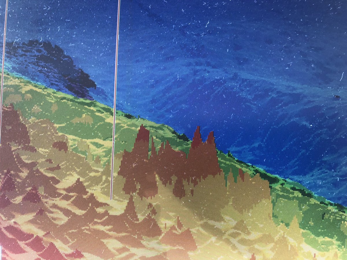 divestay's tweet image. Great day today #sunshine #flatcalm #scubadiving #dolphins #greatvisibilyy