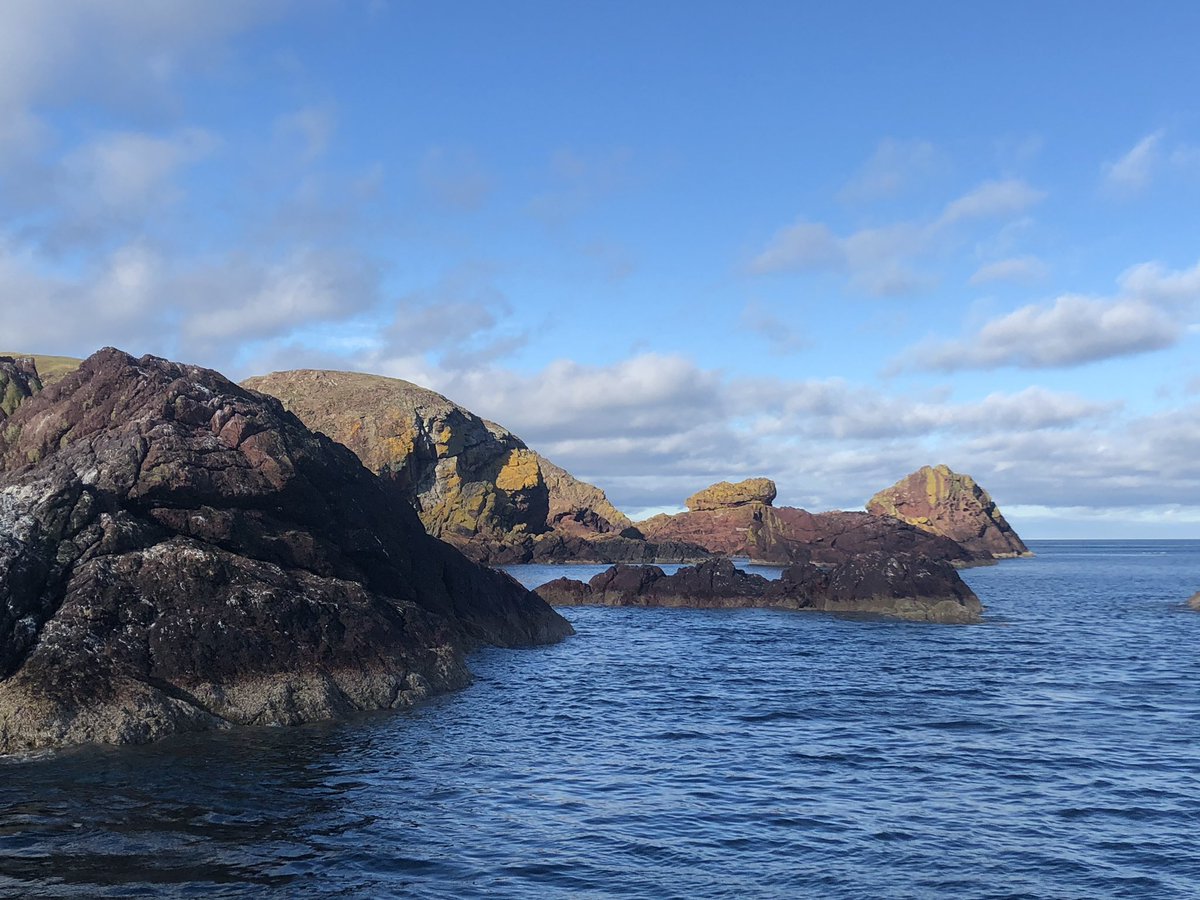 divestay's tweet image. Great day today #sunshine #flatcalm #scubadiving #dolphins #greatvisibilyy